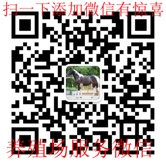 完美体育官方网站重庆巴马香猪多少钱一斤(图2)